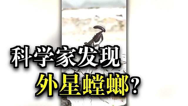 活久见！这种生物真的现实存在吗？