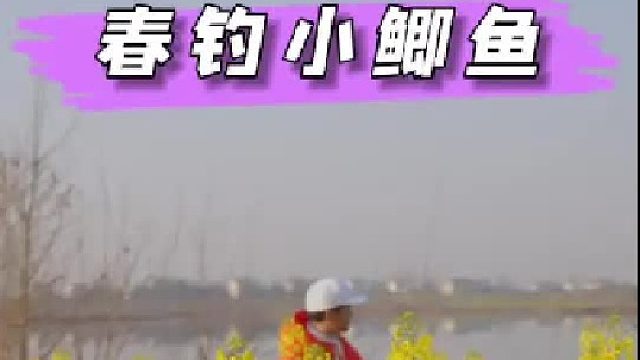 春钓鲫鱼。