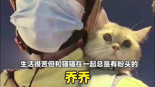 他在当骑士的路上救了猫猫，于是猫猫也成了他的骑士
