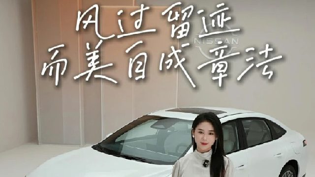 风过留迹，而美，自成章法！