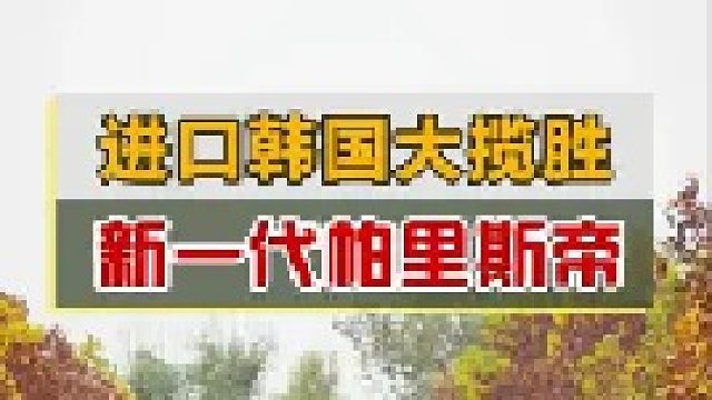这次真掀桌子了！不到30万的进口旗舰SUV，配置和价格都良心！