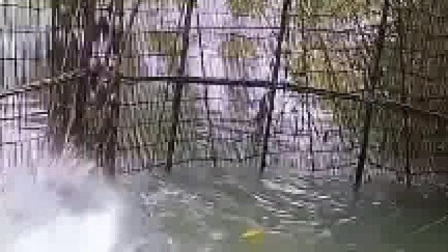 男子分享最原始的捕鱼方法，拉下机关后鱼群瞬间沸腾  ​