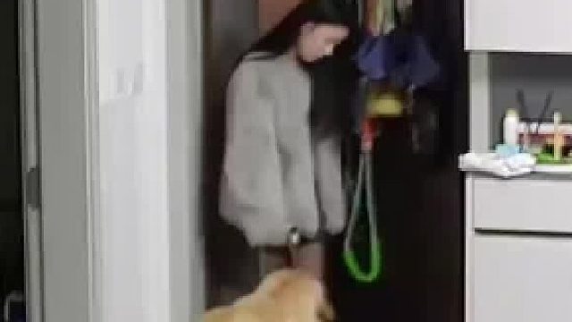 女子醉酒后回家瘫坐在地上，狗狗立马叼来自己的小窝