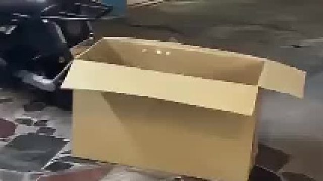 我说老板的电动车咋越卖越多了