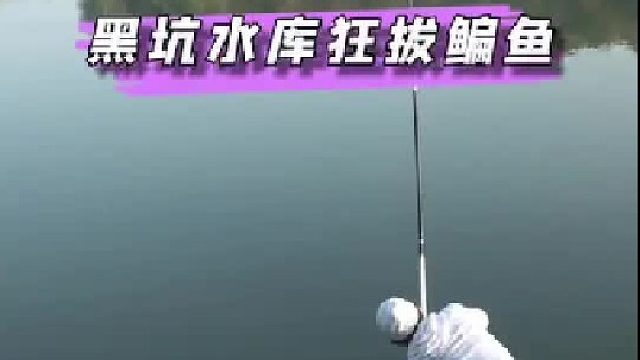 今天和40个钓友在黑坑水库一起同场竞技