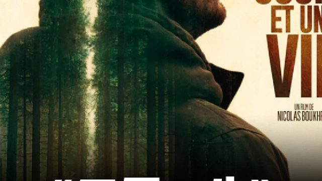 犬引祸事，男童失挚友之殇