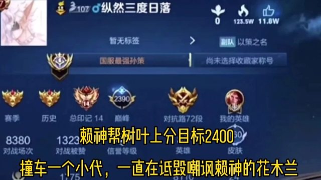 赖神帮树叶上分撞车一个小代，一直诋毁嘲讽赖神的木兰真的菜