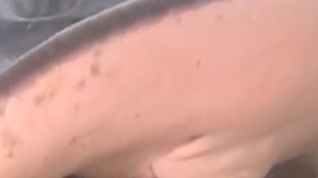 刺鳐的牙有多硬？可以咬碎蜘蛛蟹！为保护牙齿，专吃软壳蟹