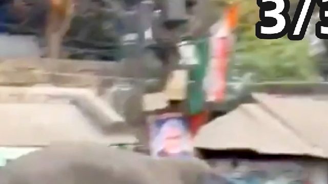 大象进村有多可怕？横扫一切障碍，怎样才能请走大象呢