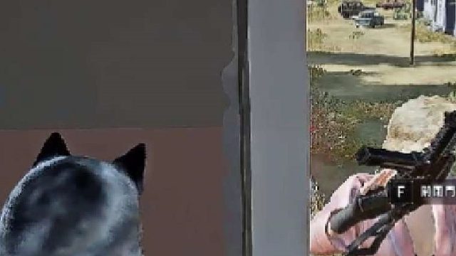 困兽勿逼，留其生路