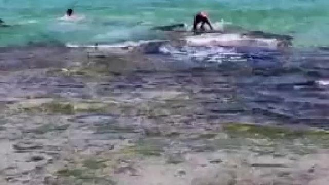 海怪上岸？游泳者逃命结局出乎意料