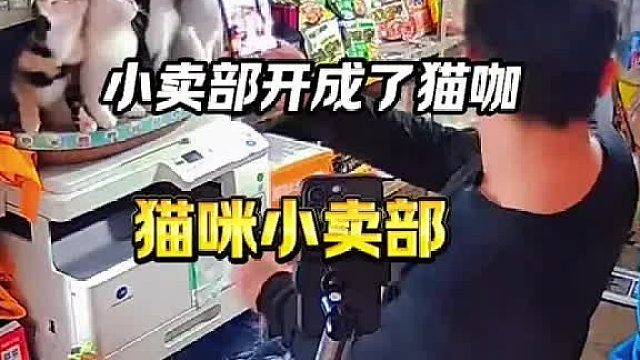 动漫版的小卖部，有老板，有猫，有爱