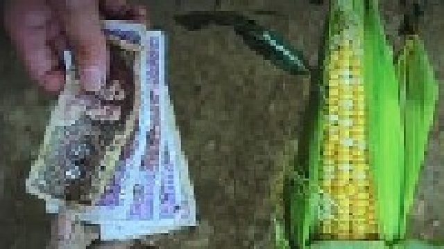 当地理答案照进了现实才发现我们也身在其中