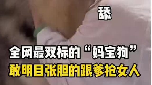 全网最双标的“妈宝狗”