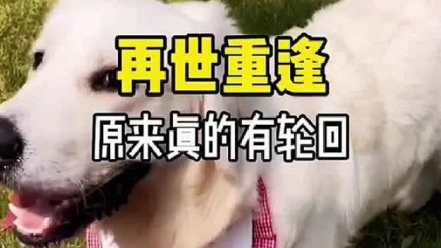 原来真的有轮回