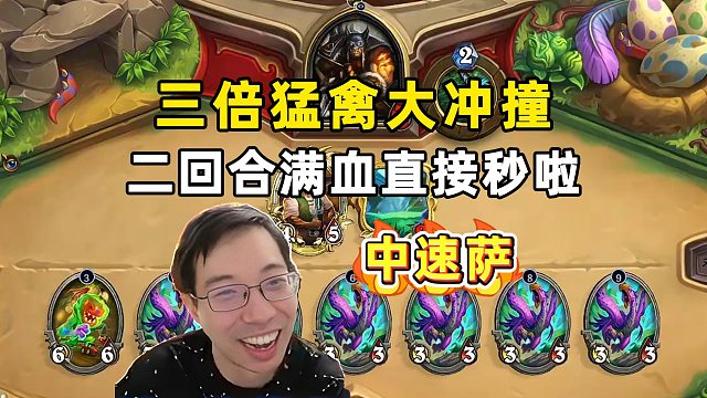 驴鸽：3被猛禽大冲撞，超级小鸟乖乖！