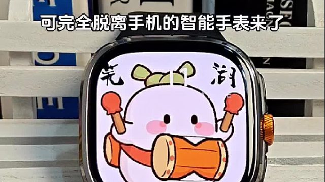 完全可以脱离手机独立使用