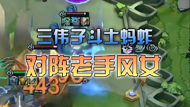 三伟子斗士蚂蚱对阵老手风女