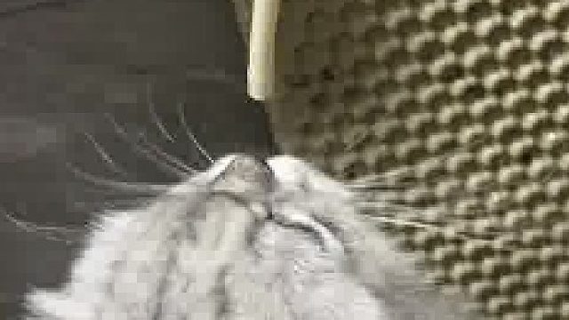 正常水我不喝，就爱喝点热水器滴出来的水