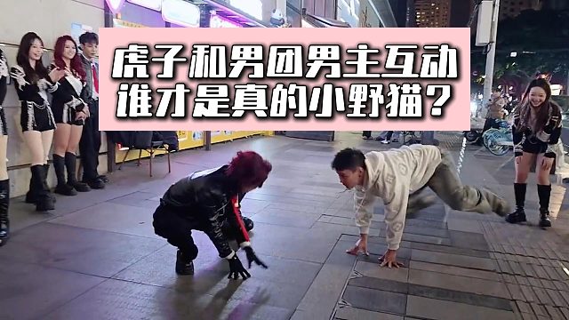 虎子和男团男主互动，谁才是真的小野猫？