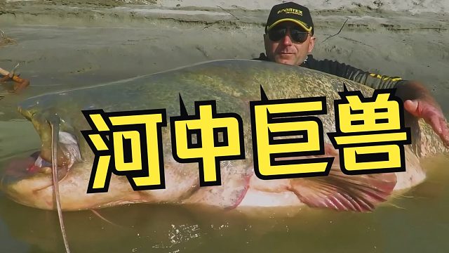 亚马逊都弱爆了！这条河才叫真危险