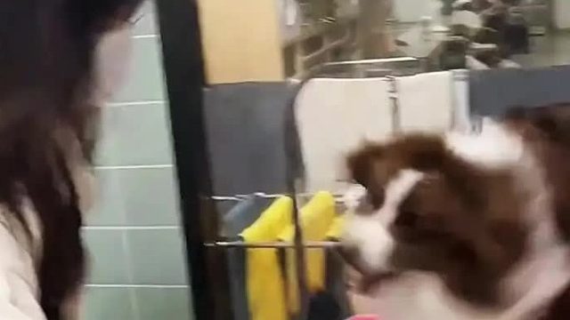 第二集 小姐姐就仿佛打开了新世界的大门