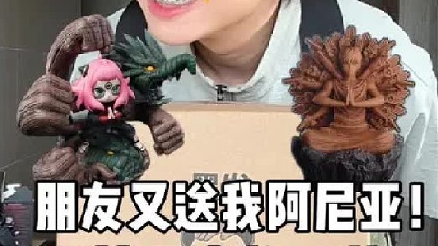 不是！这对吗？ 朋友又送了我一个阿尼亚系列