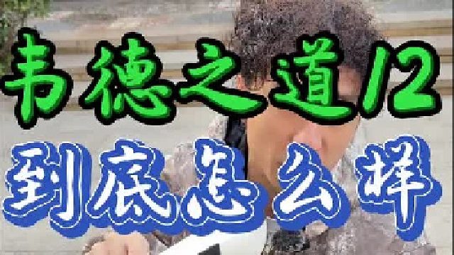 韦德之道12真的有那么好吗？