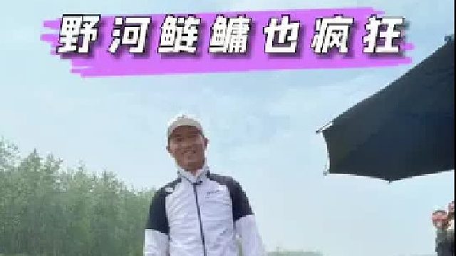 野河鲢鳙也疯狂