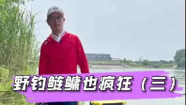 野钓鲢鳙也疯狂