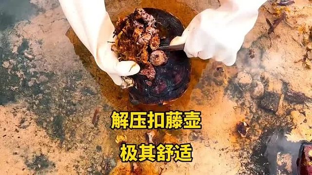 又发现一只有藤壶的海龟，扣藤壶不得不说真是解压，同时也拯救了海龟