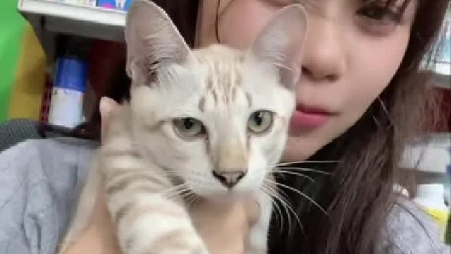 猫可爱还是我可爱
