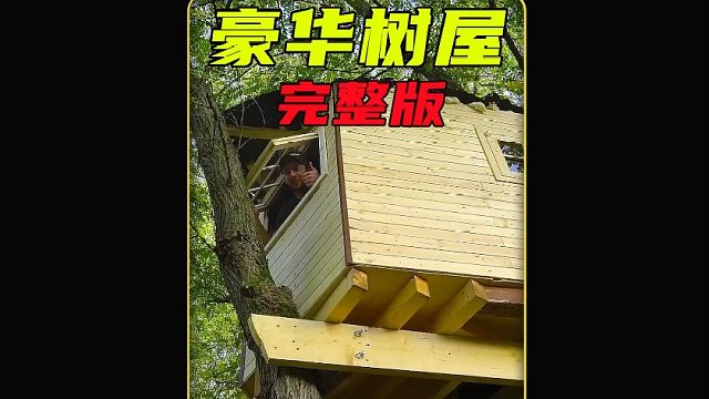 看最强树屋建造 (1)