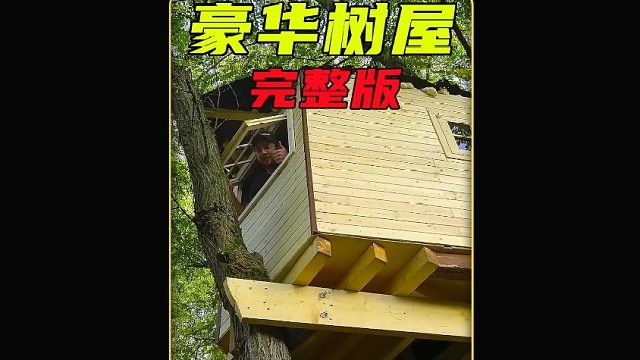 看最强树屋建造 (2)