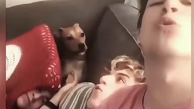 男生和布鲁斯之间的羁绊