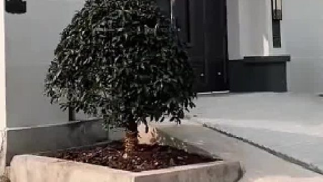 斜坡消失后，回家路如何变通？