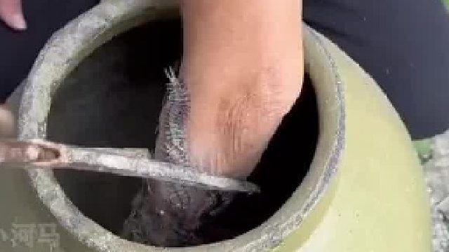 野外遇到废弃的缸，手不要乱放进去，里面可能有咬人的虫！