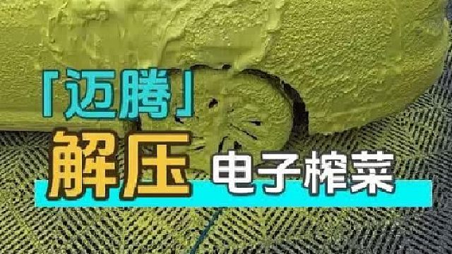 给重度虫胶迈腾老铁安排小全套