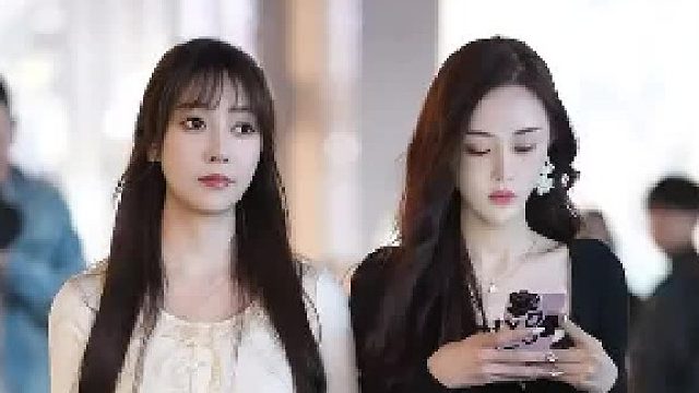 乌云总有一天会散开小狗请你拨开阴霾