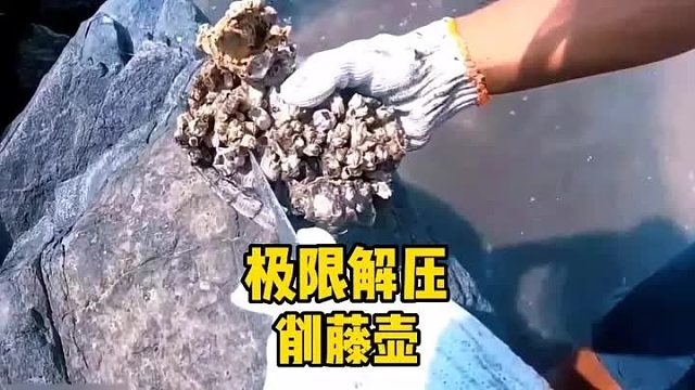 海龟被镇压在五指山下，还好被人发现了，才得以解脱