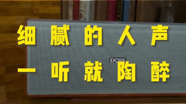 还原音乐本真更多细节，DOSS全景声音响