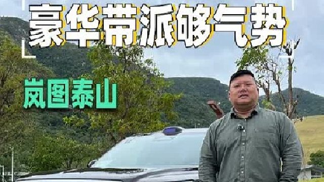 又一款豪华大六座的SUV，气势够足，块头够大，我很喜欢