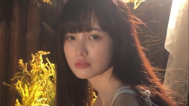 忆往昔秋日，落日余晖洒