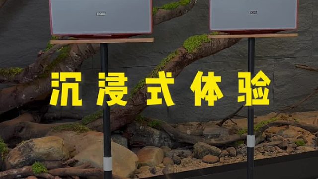 心灵需要栖息，耳朵需要慰藉：这套音箱，承包你所有温柔时光
