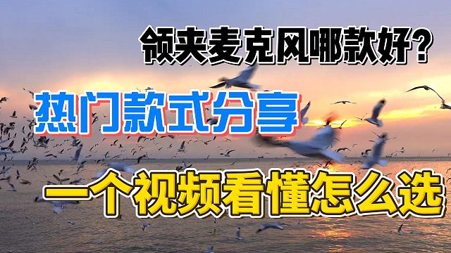 做自媒体必看！领夹麦克风的作用是什么？麦克风品牌排行榜分享！