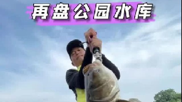 再回东阳公园小水库，狂拔巨型鲢鳙