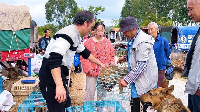 农村媳妇去卖狗，看看卖了多少钱？拿到钱高兴坏了