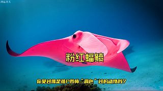 動物離奇色變，科學(xué)家驚呆！