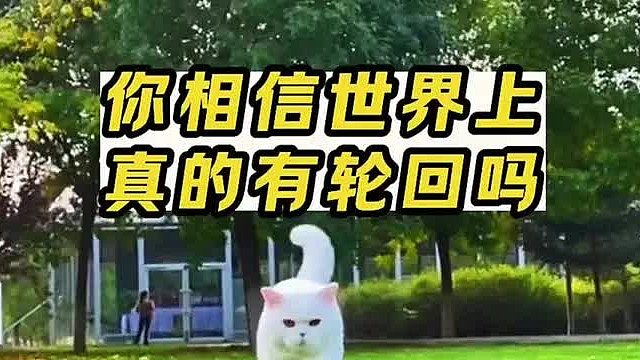 第一集 在世轮回，你相信世界上真的有回轮吗