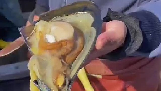 在我们海边要吃就吃最新鲜的